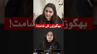 “Come to Pakistan on October 4!” | Benish Saleem Questions Sohail Afridi’s Swabi Camp & Funding