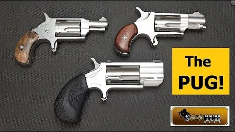 North American Arms Pug 22 Magnum Mini Revolver
