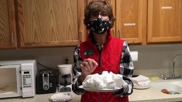 Ivory Soap Science Experiment