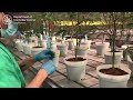 Track and Trace: How to tag plants