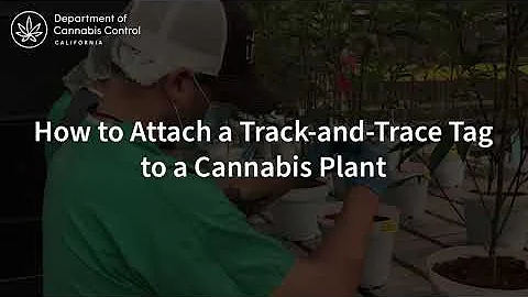 Track and Trace: How to tag plants