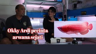 ikan arwana perawatannya sedergana. hobbi di bawa enjoy