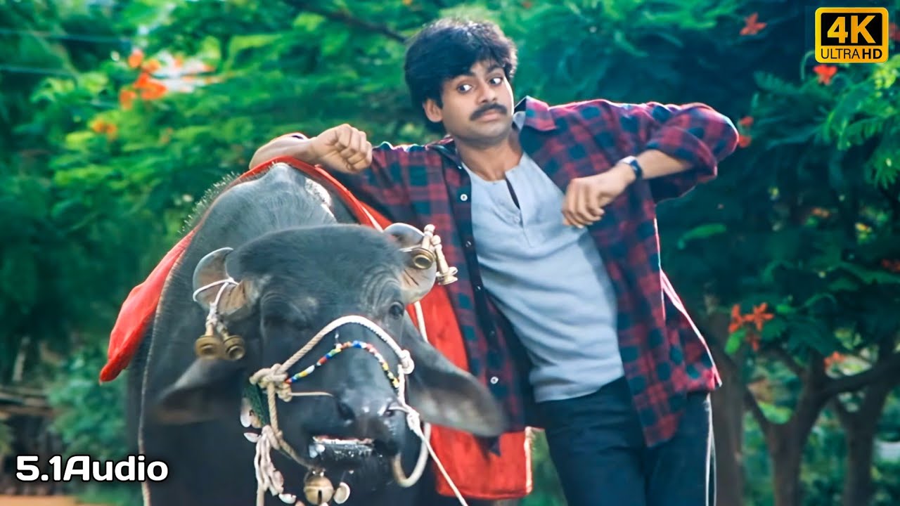 Edola vundi 4k Video Song  Thammudu  Pawan Kalyan Preeti Jhangiani  Remastered