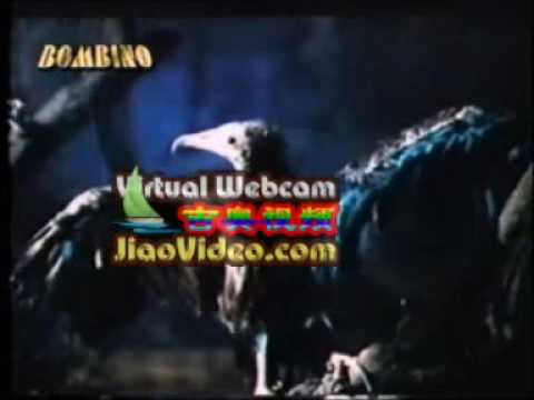 Ranker Video