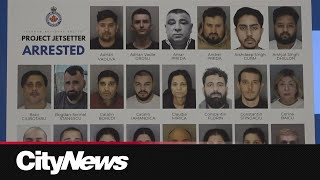 46 arrested for posing as tourists to commit crimes across the GTA