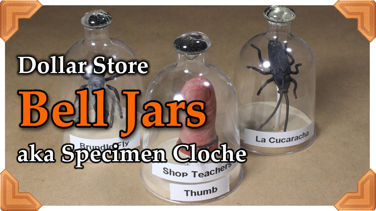 Dollar Store Bell Jars/Specimen Cloches YouTube