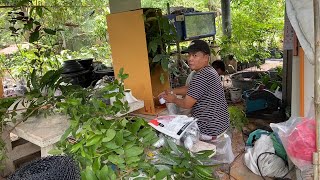 Delivering rare plants within Thailand