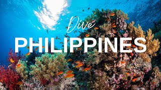 Scuba Diving in Tubbataha Reef, Philippines