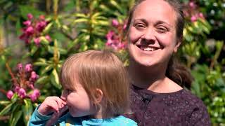 Creative Curiosities - We Tell Your Story- Community Documentary created by @thehundredhands2757