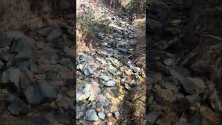 Mason-Dixon Trail: Foys Hill Trail