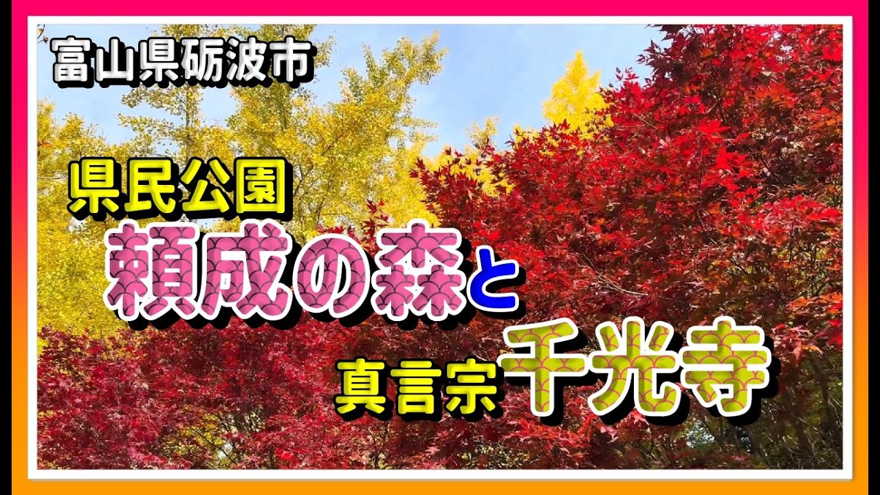 【🍁散策物語】秋の思い出「県民公園 頼成の森」と「千光寺」の紅葉　～富山県砺波市～