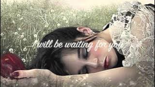 Within Temptation~ Bittersweet (lyrics)