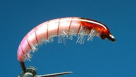 Tying the McPhail Pink Bug by Davie McPhail.