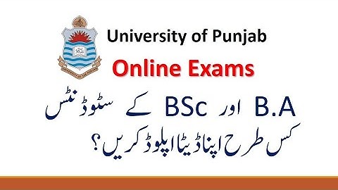 How To Enter Data For Punjab University Exams| Online Data Submission Error |