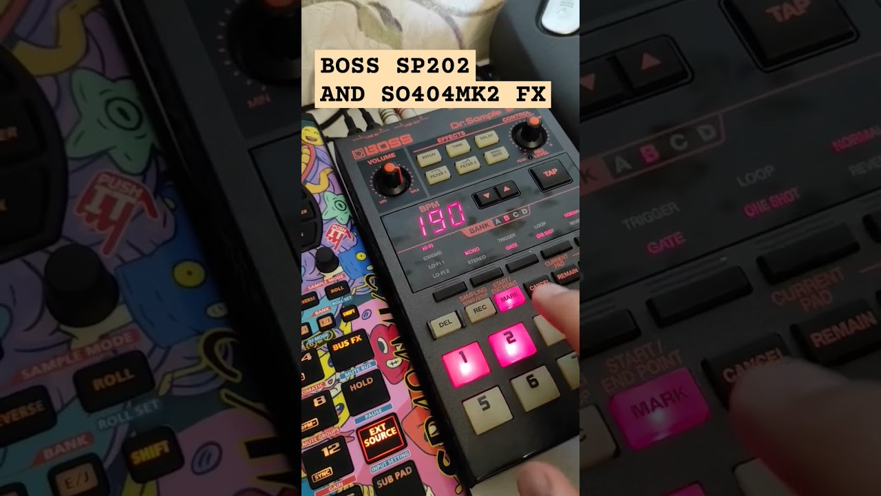 Chop vinyl, Boss sp202 and SP404mk2 fx. 