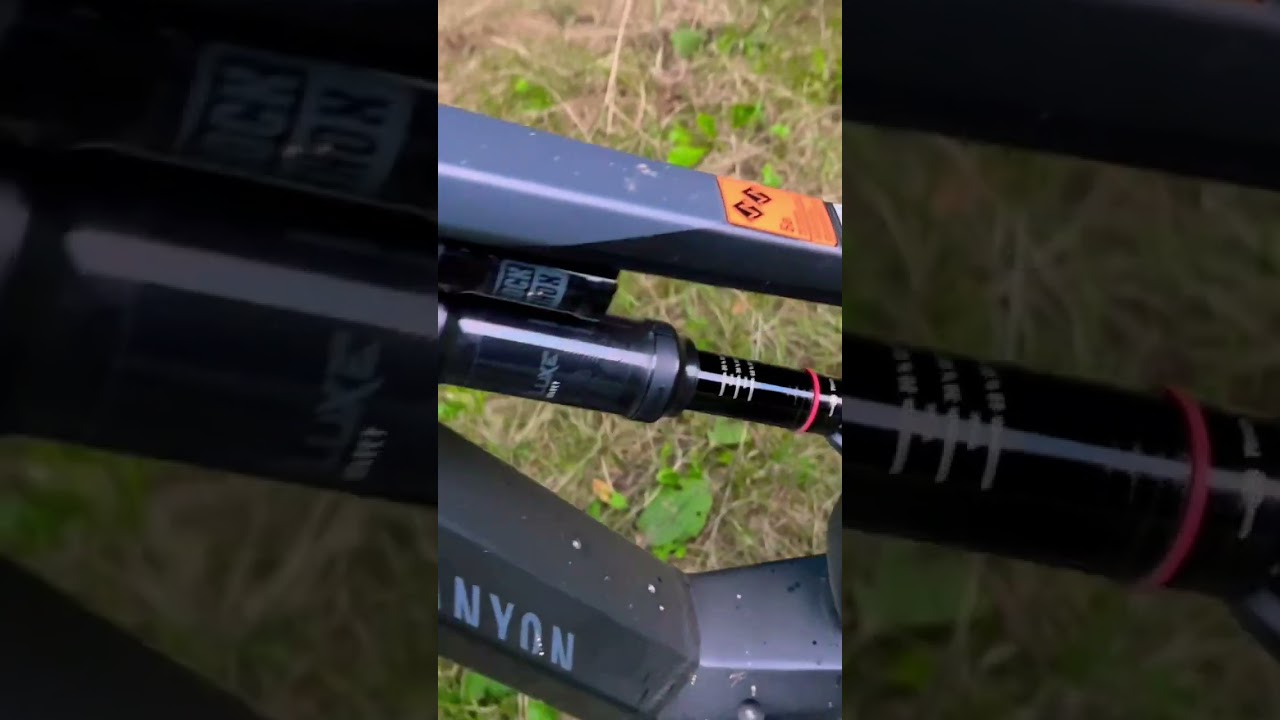 Satisfying Canyon Torque:ON 7 Downhill-E-Bike