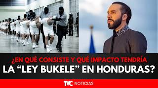 Ley Bukele En qu consiste la iniciativa y qu impacto tendra