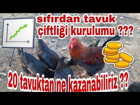 Video: Göndericinin sorumlulukları. Bir karayolu nakliye memurunun iş tanımı