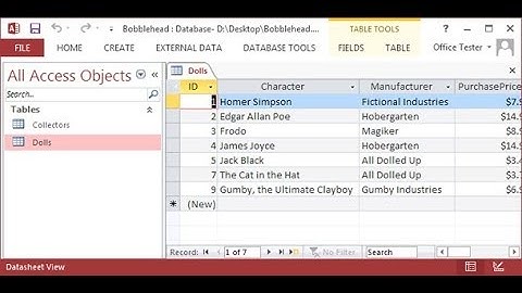 Microsoft Access 2013 - Module 3: Customizing Databases Database Queries