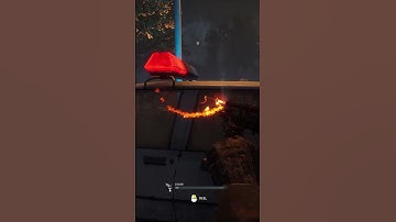 So... This Deathslinger Bug Wasn