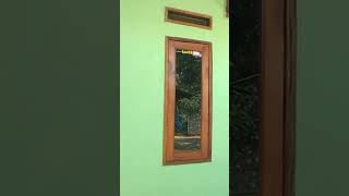 Rumah Sederhana Bernuansa Hijau