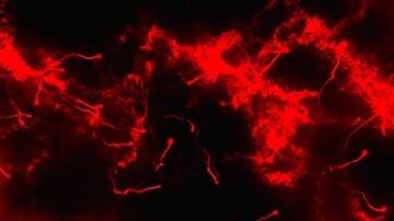 Red magical Light streaks Animation Background video , No Copyright || Stock Footage