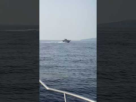 #boat #nimbus #300r