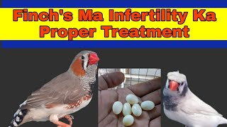 Finch's Ma Infertility ka proper Treatment screenshot 5