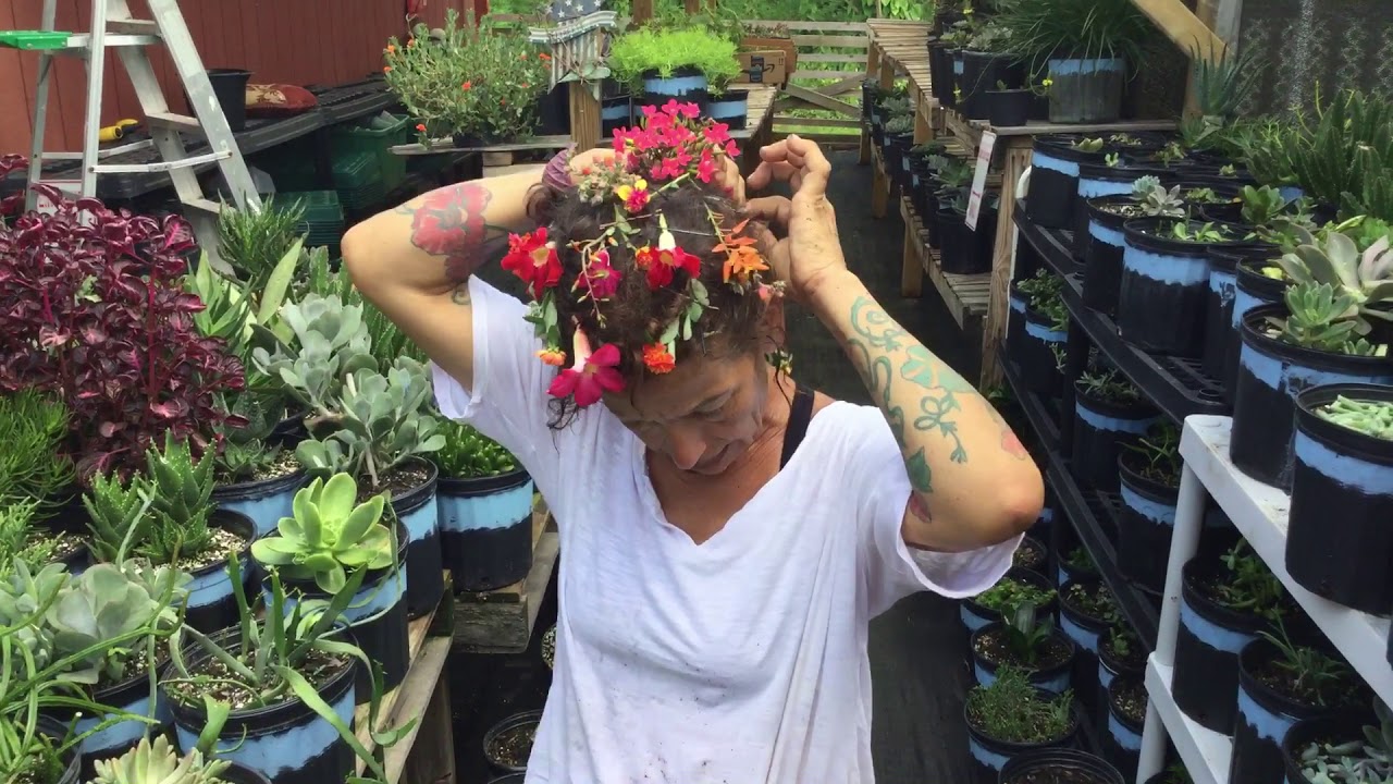 How to propagate succulent from cuttings - YouTube