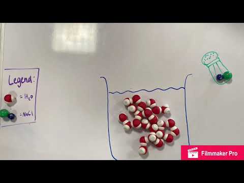 AP Bio Adventures Presents: How Water Dissolves Salt