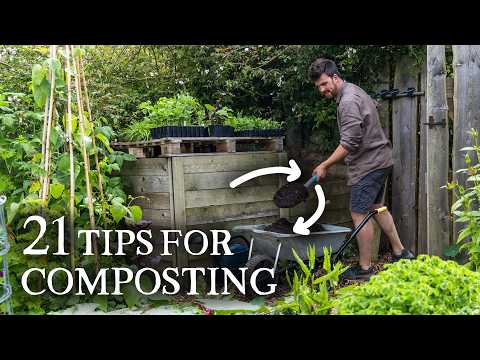 21 Composting Tips I Wish I Knew Sooner