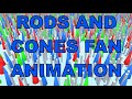 Blue man grouprods and cones 21 fan animation