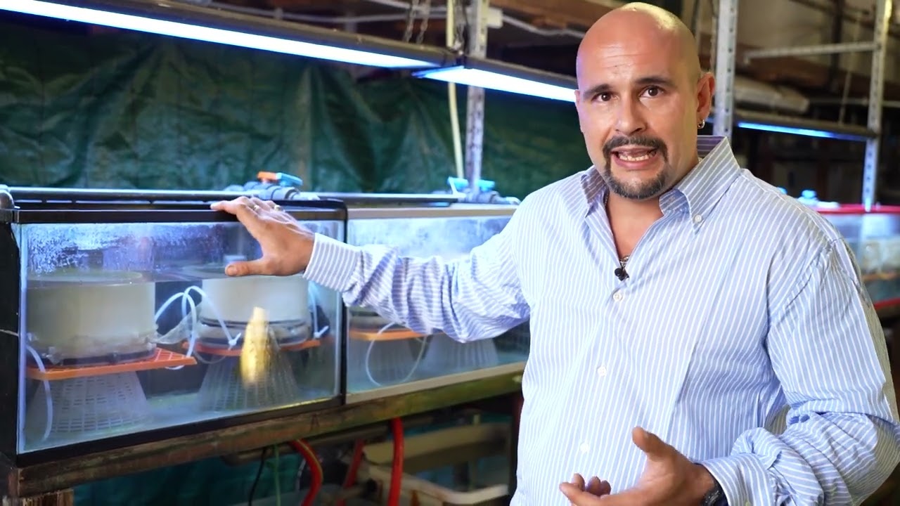 Allevamento sperimentale della Tremolina (FIPO)