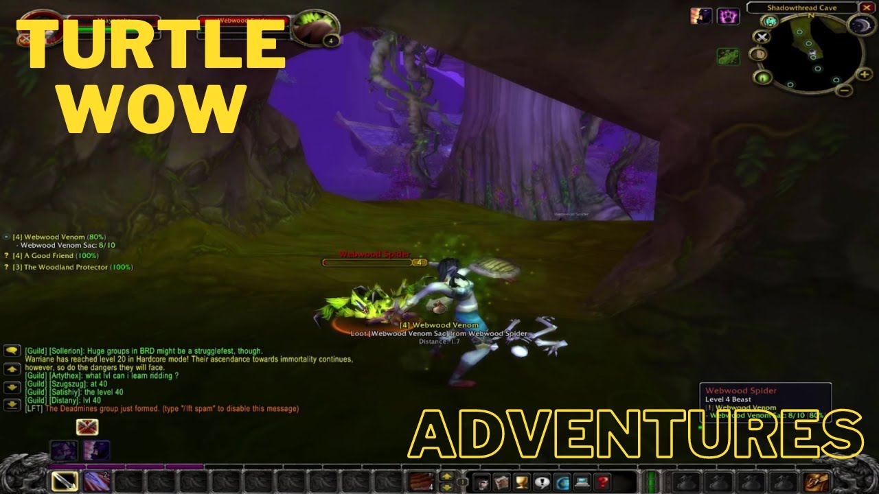 Larry's Turtle wow adventure begins now