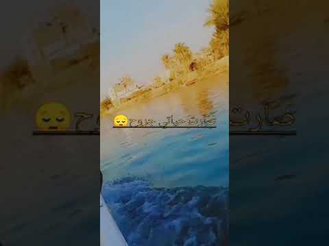 ماتت بعدكم روح حالات واتس تصميمي تصويري محافظة الدوانيه 