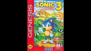 Sonic The Hedgehog 3 Mock - Up - Pleasure Zone