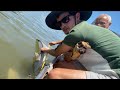 Brisbane River Bull Shark Challenge Part 3