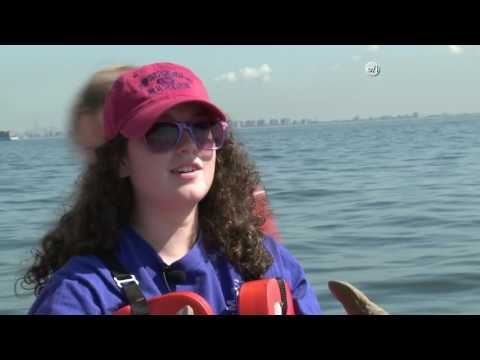 A preview image of the video: Video: AK 2015-23 Monitoring Fish Populations - Sonar and Trawling