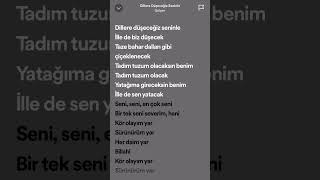 GÜLŞEN ‘DİLLERE DÜŞECEĞİZ SENİNLE’ SPEED UP ✨#gülşen #speedup #türkçe #şarkı #şarkısözleri #lyrics