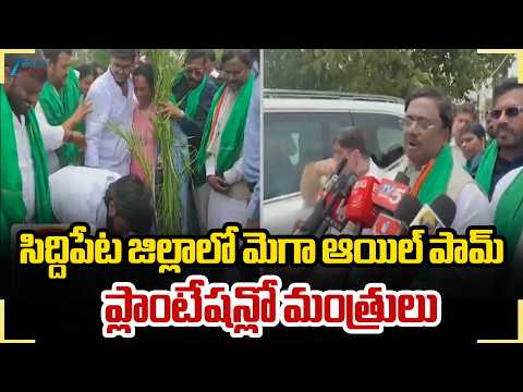 Ministers Vivek & Ponnam Visits Siddipet District | సిద్దిపేట జిల్లాలో మెగా ఆయిల్ పామ్ ప్లాంటేషన్ - ZEE24TELUGUNEWS