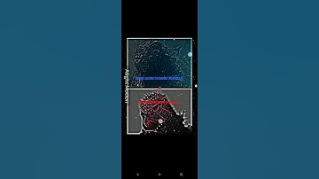 MEGA MAGIC DOMAIN GODZILLA VS MEGA COMPOSITE GODZILLA #legendarygodzilla #compositegodzilla