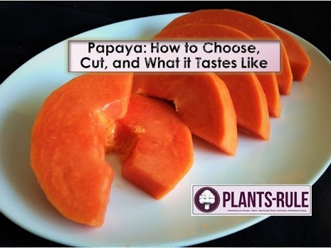 Papaya: How to