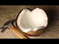 ASMR Best Coconut Sounds🥥 코코넛 소리는 처음이죠? 코코넛 속에 물소리까지 들린다..