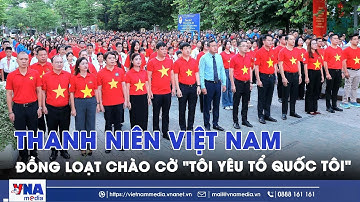 Thanh niên Việt Nam đồng loạt chào cờ "Tôi yêu Tổ quốc tôi" - VNAMedia