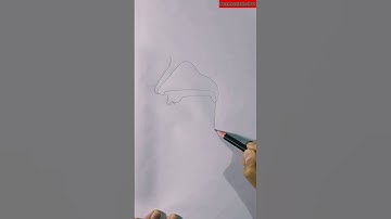 The Organs Of Speech Diagram _ Linguistics #shorts