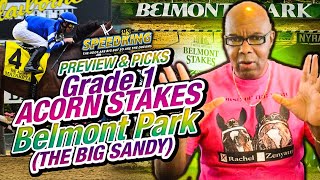 Friday @ Saragota Grade 1 Acorn Stakes Preview & Picks 12th Race 6/7/2024. 