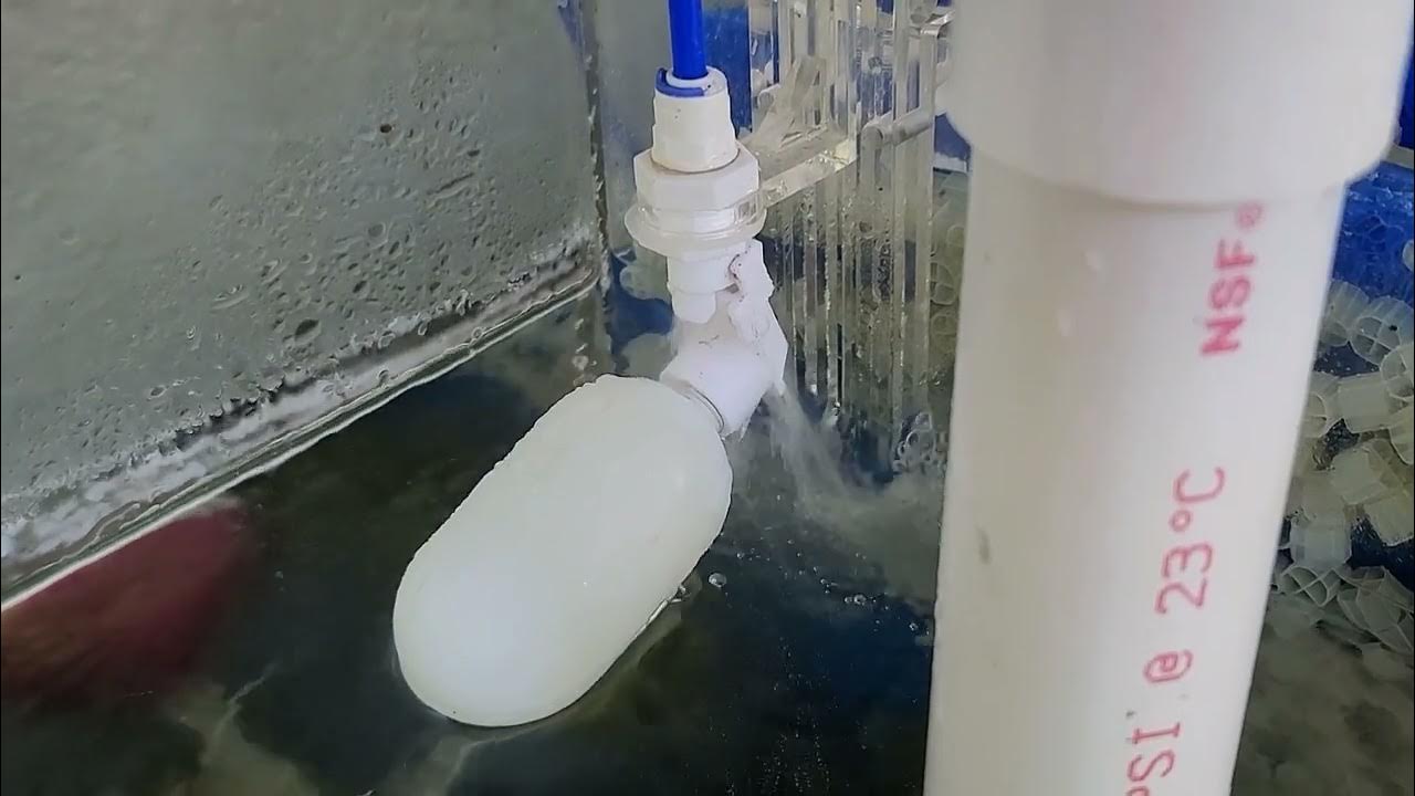 Setting Up ATO & 3 Stage Filter with Float Valve‼️ YouTube