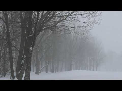 Ингер Кристенсен. Снегопад