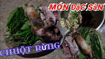 Món ăn Chuột rừng độc lạ | Đặc sản vùng quê mùa đông lạnh giá | Tập 2