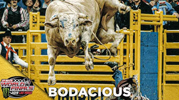 BODACIOUS Receives the 2019 BRAND OF HONOR